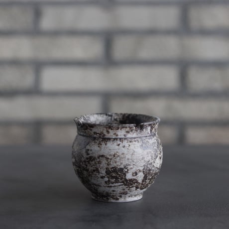 takero pot / サビ / ムシクイ (2.5号)  no.809-168