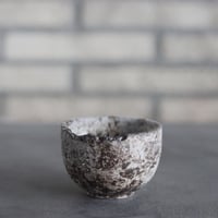 takero pot / サビ / ムシクイ (2.5号)  no.809-226
