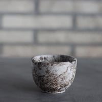 takero pot / サビ / ムシクイ (2.5号)  no.809-229