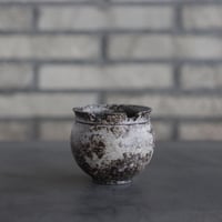 takero pot / サビ / ムシクイ (2.5号)  no.809-167