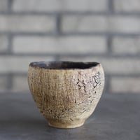 Kaori Ono / gaia / humanity pot (3.5号)  no.913-14