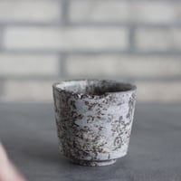 takero pot / サビ / ムシクイ (2.5号)  no.809-218