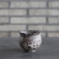 takero pot / サビ / ムシクイ (2.5号)  no.809-174