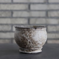 takero pot / サビ / ムシクイ (4.5号)  no.809-135