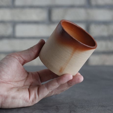 BIZENBACHI (備前鉢)｜BANKSIA WORKS (2.5号)  no.809-268