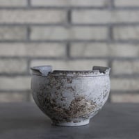 takero pot / サビ / ムシクイ (5号)  no.809-133
