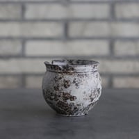 takero pot / サビ / ムシクイ (3号)  no.809-160