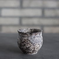 takero pot / サビ / ムシクイ (2.5号)  no.809-199