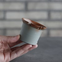 "TAKERO NO TORUKO"  (2.5号)  no.802/132