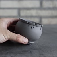 takero pot｜ヤキシメ / クロ / ムシクイ (2.5号)   no.809-319