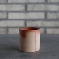 BIZENBACHI (備前鉢)｜BANKSIA WORKS (2.5号)  no.809-254