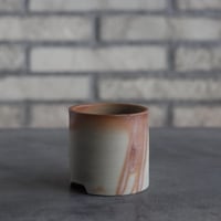 BIZENBACHI (備前鉢)｜BANKSIA WORKS (2.5号)  no.809-266
