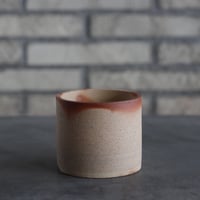 BIZENBACHI (備前鉢)｜BANKSIA WORKS (3号)  no.809-252