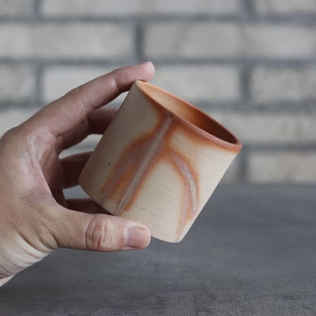 BIZENBACHI (備前鉢)｜BANKSIA WORKS (2.5号)  no.809-259