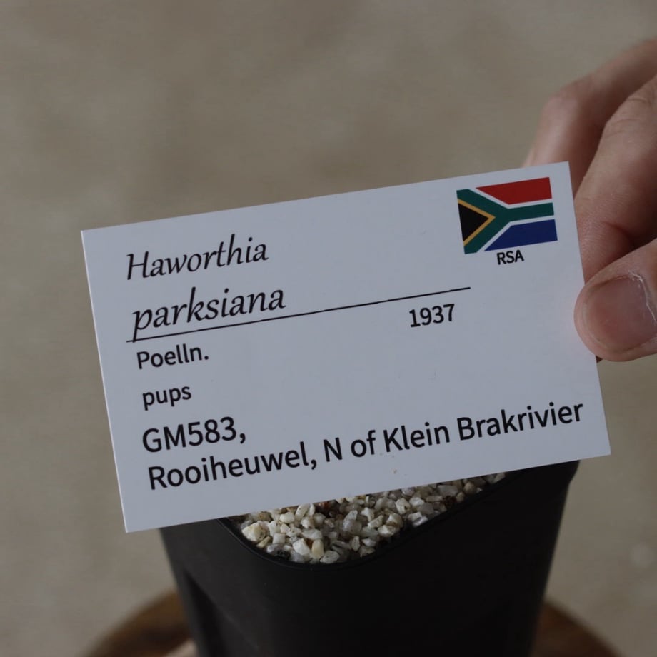 6a8035e538b3a510f6878664