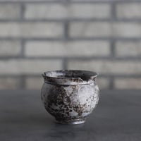 takero pot / サビ / ムシクイ (2.5号)  no.809-169