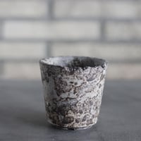 takero pot / サビ / ムシクイ (2.5号)  no.809-206