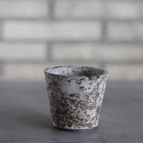takero pot / サビ / ムシクイ (2.5号)  no.809-208
