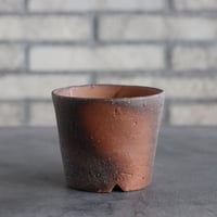 BIZENBACHI (備前鉢) ｜ BANKSIA WORKS (3.5号)  no.809-285