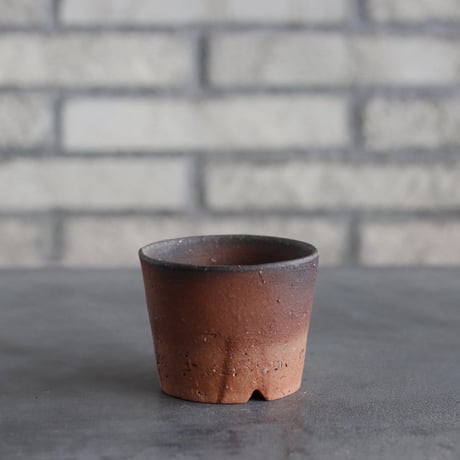BIZENBACHI (備前鉢)｜BANKSIA WORKS (2.5号)  no.809-291