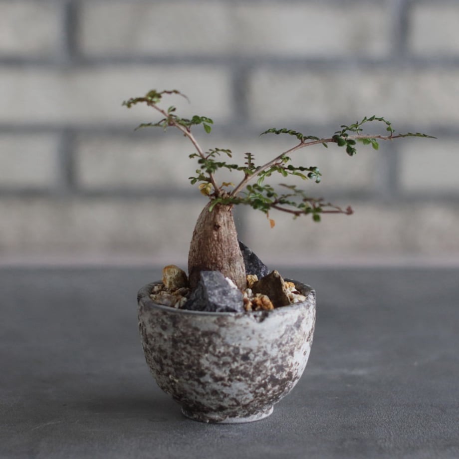 6aaf7ee326b77bef7c8c6354