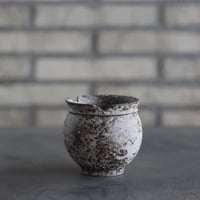 takero pot / サビ / ムシクイ (2.5号)  no.809-176