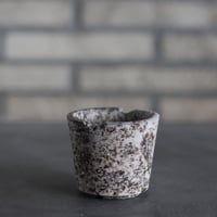takero pot / サビ / ムシクイ (2.5号)  no.809-210