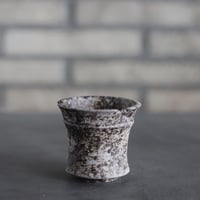 takero pot / サビ / ムシクイ (2.5号)  no.809-232