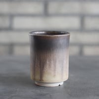 中川智治 / ASHFIELD LABORATORY (2.5号)  no.823-50