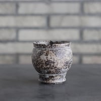takero pot / サビ / ムシクイ (2.5号)  no.809-156