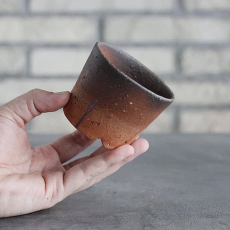 BIZENBACHI (備前鉢)｜BANKSIA WORKS (2.5号)  no.809-291