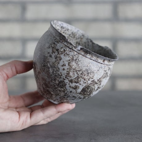 takero pot / サビ / ムシクイ (3.5号)  no.809-146