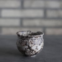 takero pot / サビ / ムシクイ (2.5号)  no.809-189
