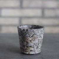 takero pot / サビ / ムシクイ (2.5号)  no.809-207