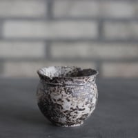 takero pot / サビ / ムシクイ (2.5号)  no.809-197
