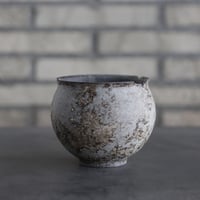 takero pot / サビ / ムシクイ  (3.5号)  no.809-144