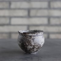 takero pot / サビ / ムシクイ (3号)  no.809-178