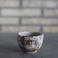 takero pot / サビ / ムシクイ (2.5号)  no.809-224