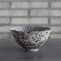 takero pot / サビ / ムシクイ (5号)  no.809-140