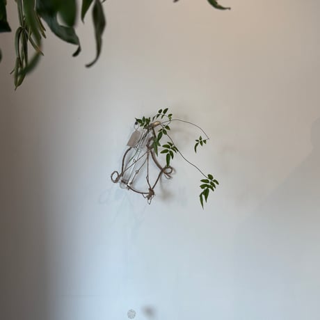 オリーブオブジェひとえだ