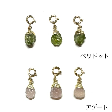 Wild Gem Charm