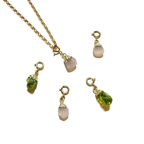 Wild Gem Charm