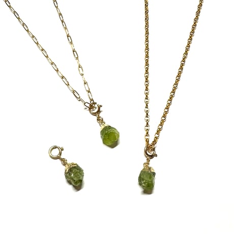 Wild Gem Charm