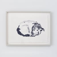 CHARLOTTE DUMAS〈TOM TOM WITH FRAME〉