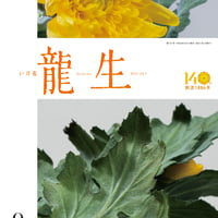 //shipping: Airmail//Monthly "Ikebana Ryusei" September 2026