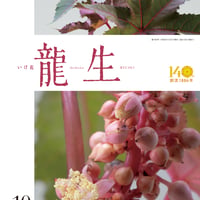 //shiping: Int'l ePacket light shipment//Monthly "Ikebana Ryusei" October 2026