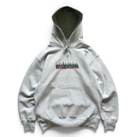 Color at Against Originals /  Wilderness Hoodie
