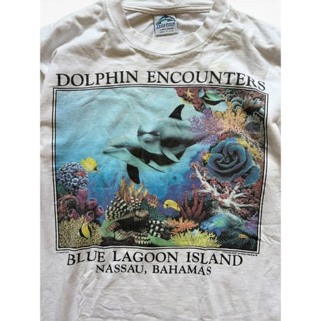 Made in USA / Printed Dolphin Tee / White L / Used
