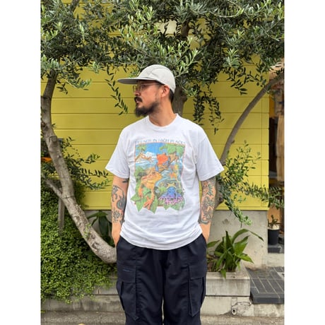 Made in USA / 90's Frog Printed Tee / White L / Used