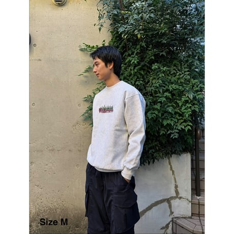 Color at Against Originals /  Wilderness Sweat